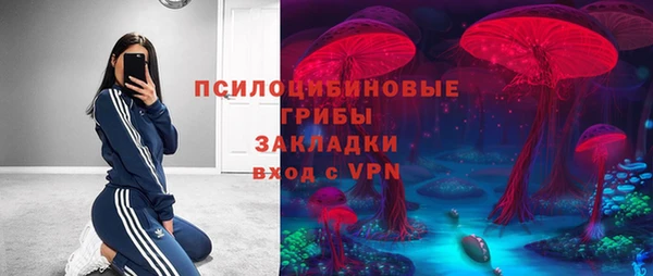 хмурый Верея