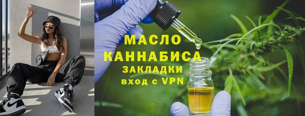 хмурый Верея