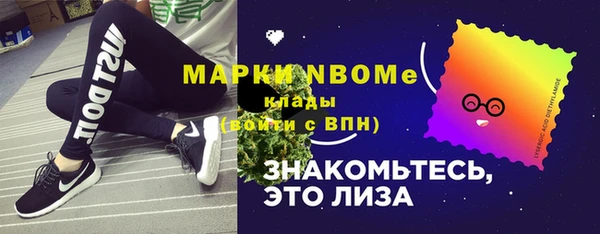 хмурый Верея