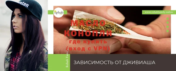 хмурый Верея