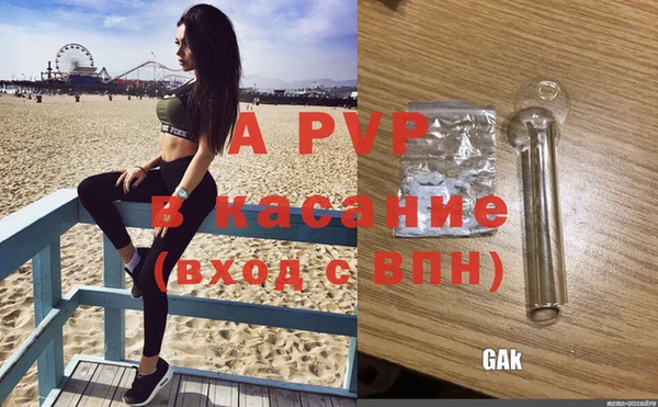 хмурый Верея