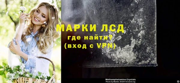 хмурый Верея