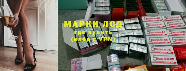 хмурый Верея