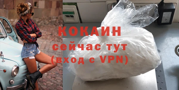 хмурый Верея
