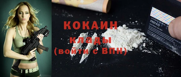 хмурый Верея
