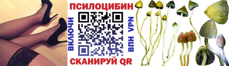 Купить где  Калтан  Псилоцибиновые грибы мицелий 